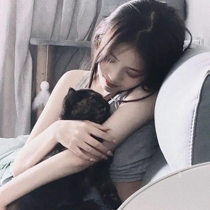 香城浪子粤语 在线观看