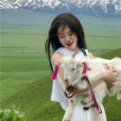先驱者 在线观看