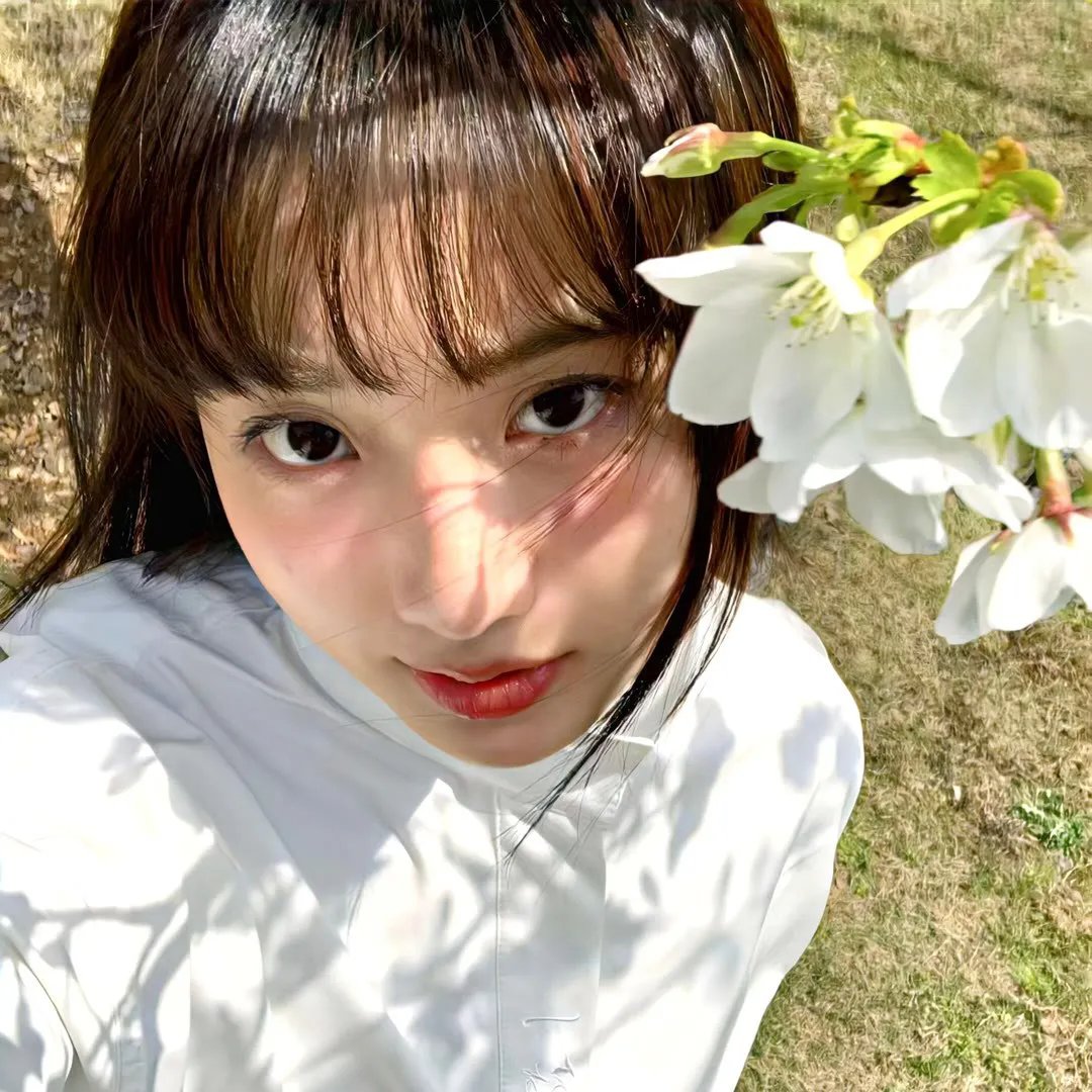 月亮和六便士 在线观看