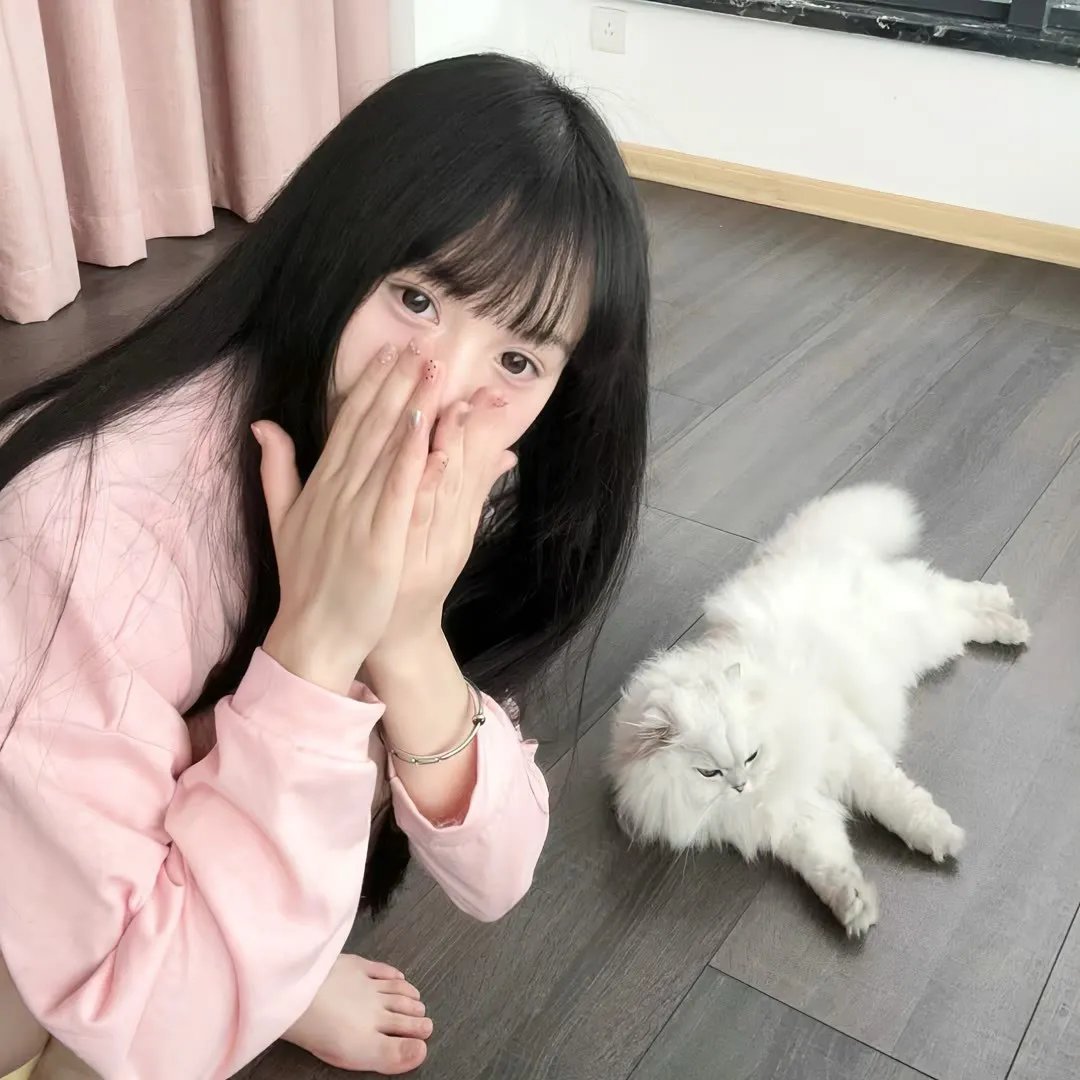 灵魂大搜索 在线观看